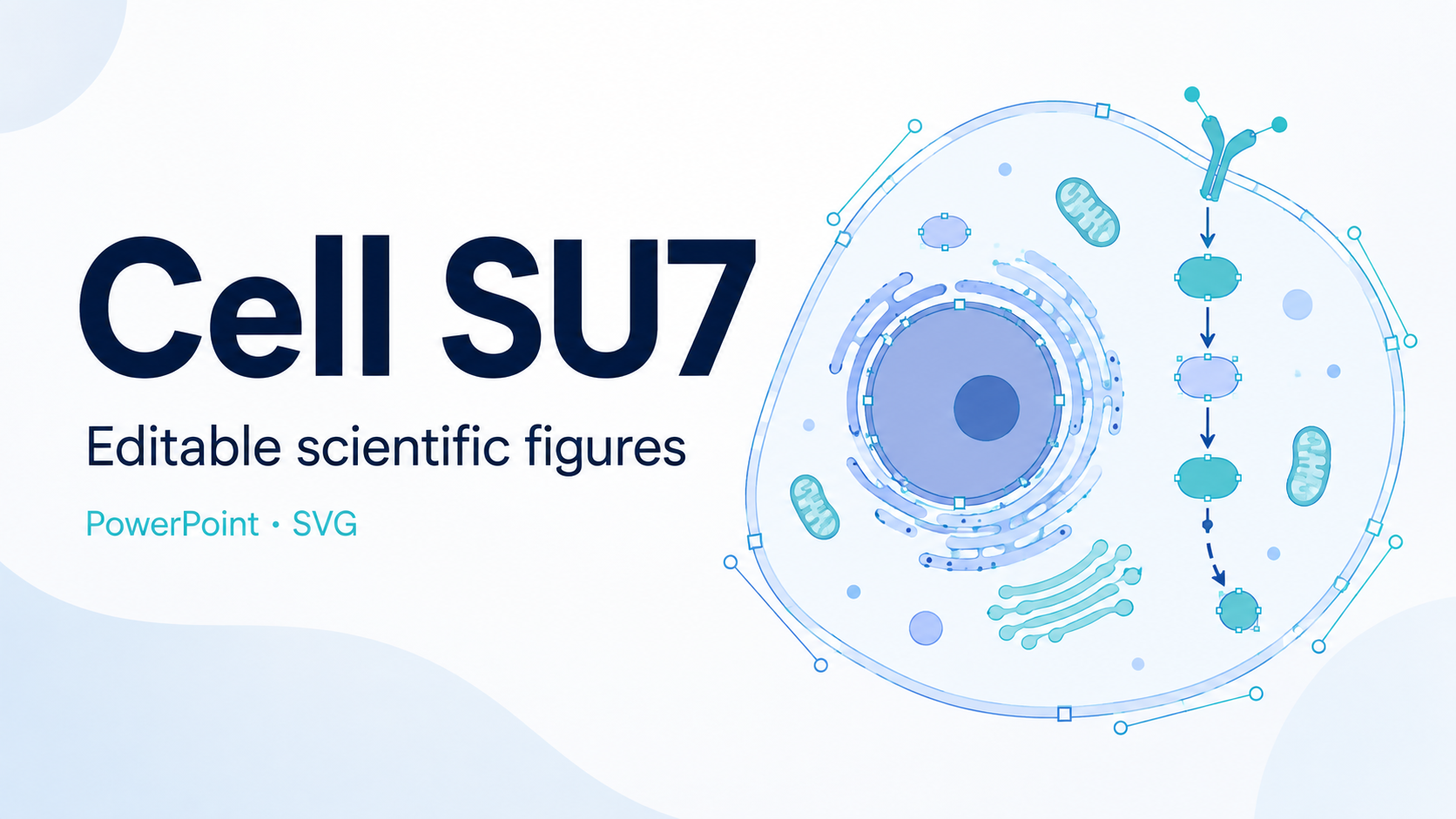 Cell SU7 科研图转可编辑矢量 智能体封面